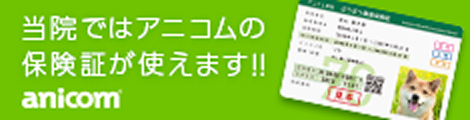 当院ではアニコムの保険証が使えます!! アニコムのページに遷移します